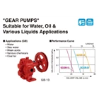 Oil Pump Gear Pump GB Series GB-13 1