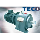 TECO Electric Motor 4