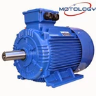 Chinese Induction Motor - ing Chinese Electric Motors 1