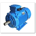Chinese Induction Motor - ing Chinese Electric Motors 2
