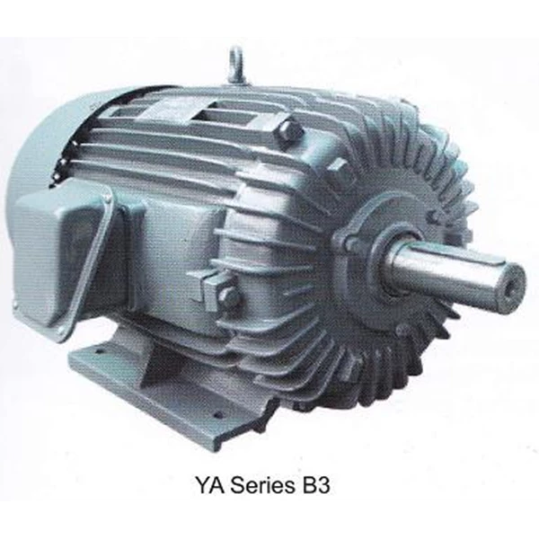 YUEMA Electric Motor