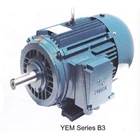 Motor Listrik YUEMA YEM Series B3 1