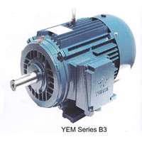YUEMA YEM Series B3 Electric Motors