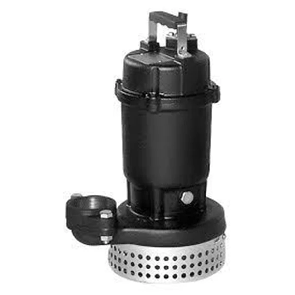 EBARA Type DS Submersible Water Pump