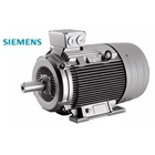 SIEMENS Induction Electric Motor 1