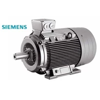 SIEMENS Induction Electric Motor